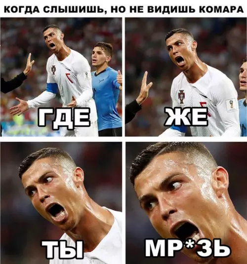 Смешная картинка №288561