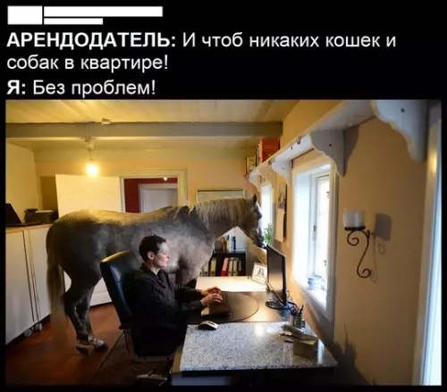 Смешная картинка №753968