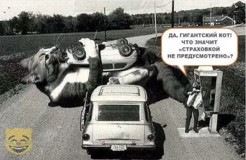Смешная картинка №366414 #приколы #картинки #мемы ?