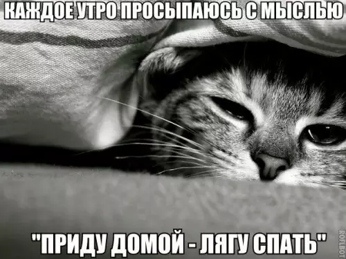 Смешная картинка №212921
