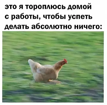 Смешная картинка №733690 Скорей бы домой