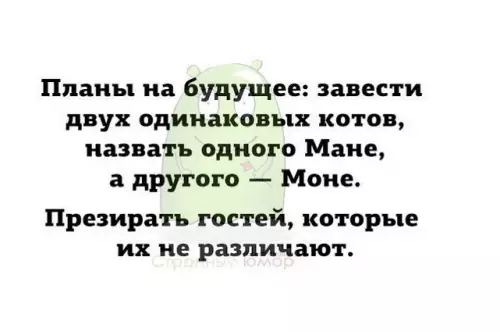 Смешная картинка №617866