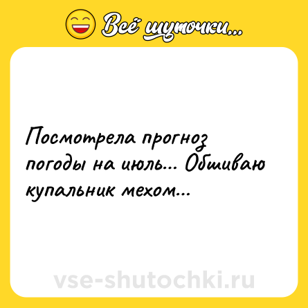 Шутка: Посмотрела прогноз погоды на июль… Обшиваю купальник мехом…