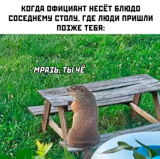 Смешная картинка №702009