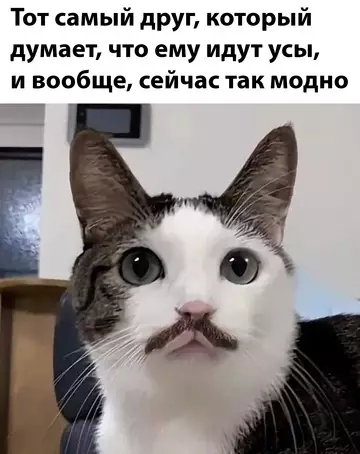 Смешная картинка №744023