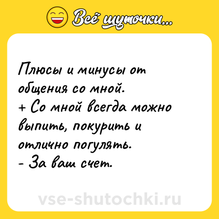 Шутка: Плюсы и минусы от общения со мной. <br>+ Со мной всегда можно выпить, покурить и отлично погулять.<br>- За ваш счет.