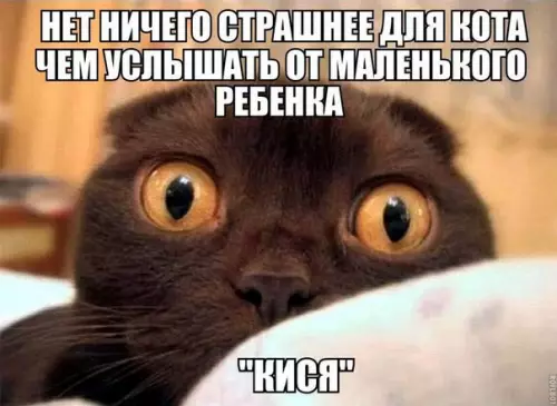 Смешная картинка №184766