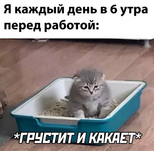 Смешная картинка №612381