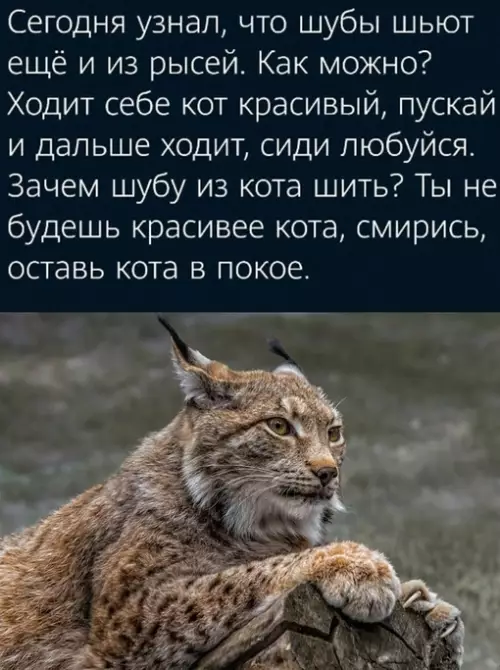 Смешная картинка №690929