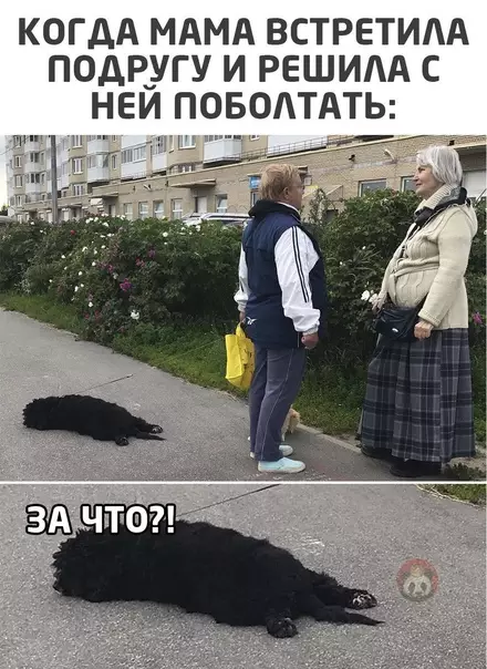 Смешная картинка №573238 Это часов на 8 ?