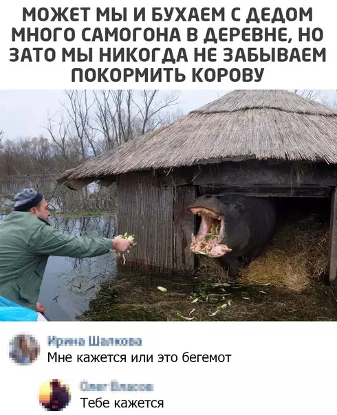 Смешная картинка №535960