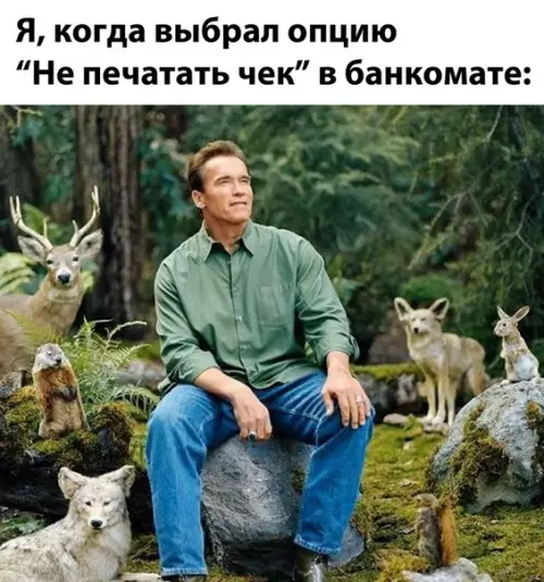 Смешная картинка №530513