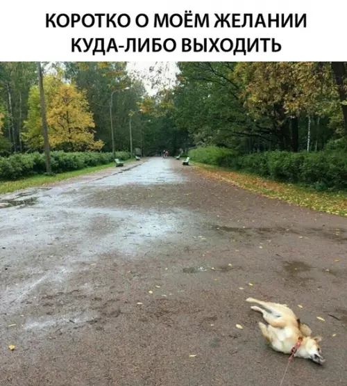 Смешная картинка №313606