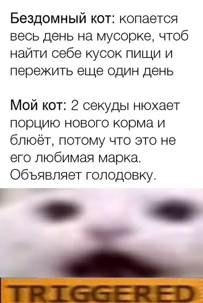 Смешная картинка №365069