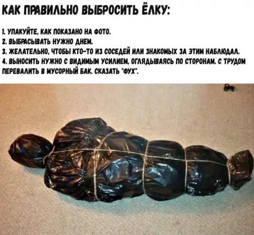 Смешная картинка №239209