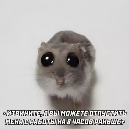 Смешная картинка №716558 работа
