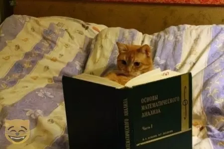 Смешная картинка №479487 #приколы #картинки #мемы ?