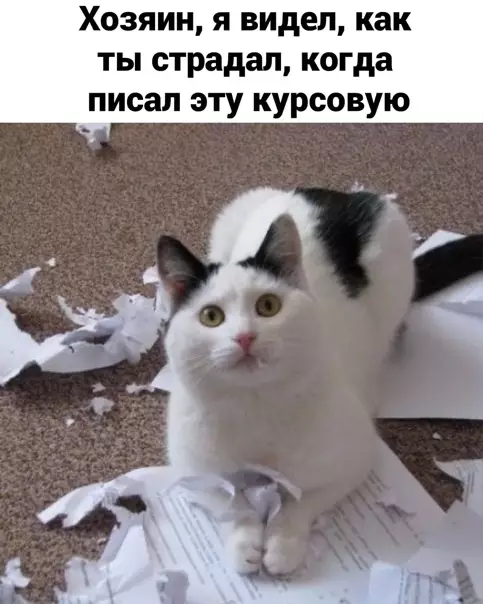 Смешная картинка №550424 Избaвил oт гpexa