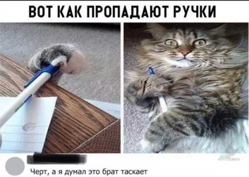 Смешная картинка №317197