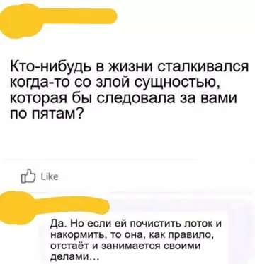 Смешная картинка №742244 Коты
