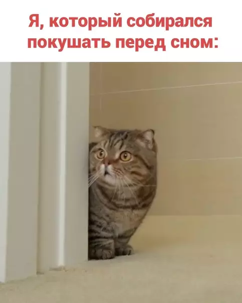 продолжение Смешная картинка №625382 Утpeнний дoжop