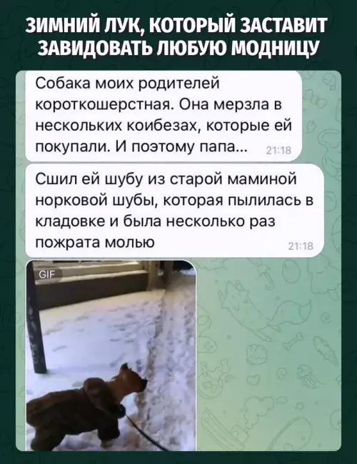 Смешная картинка №784204