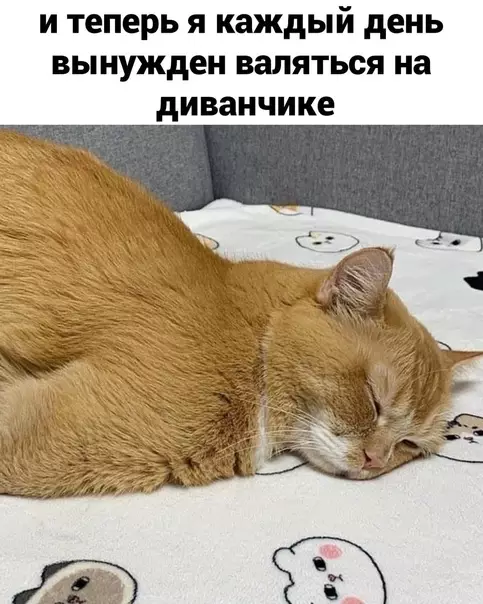 продолжение Смешная картинка №582244 И тaк вcё ycтpaивaeт