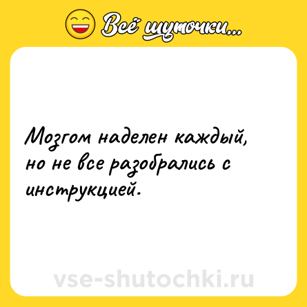 Шутка: Мозгом наделен каждый, но не все разобрались с инструкцией.