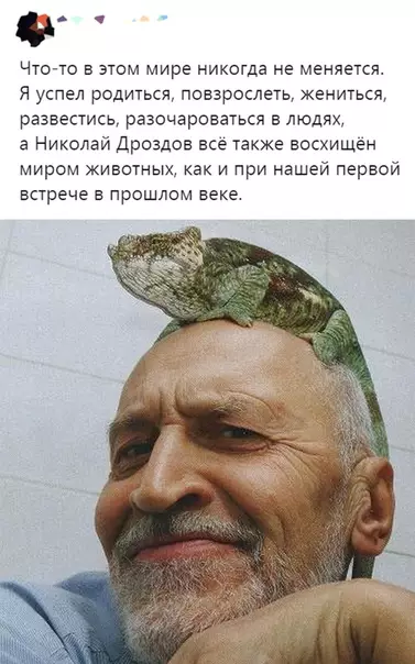 Смешная картинка №392864
