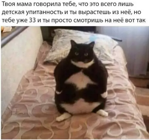 Смешная картинка №211856