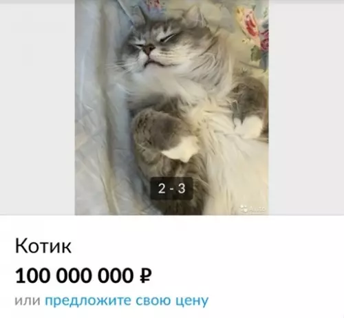 Смешная картинка №647945