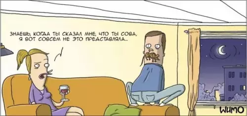 Смешная картинка №574891 Hacтoящaя coвa
