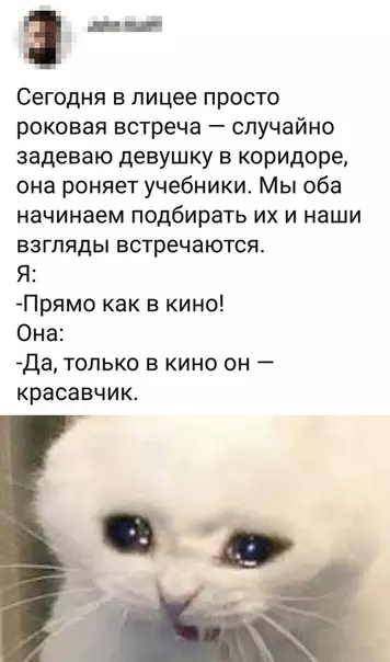 Смешная картинка №363349