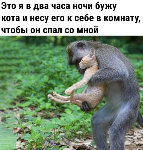 Смешная картинка №685215