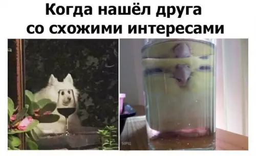 Смешная картинка №226309