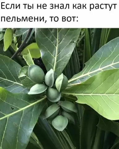 Смешная картинка №372769