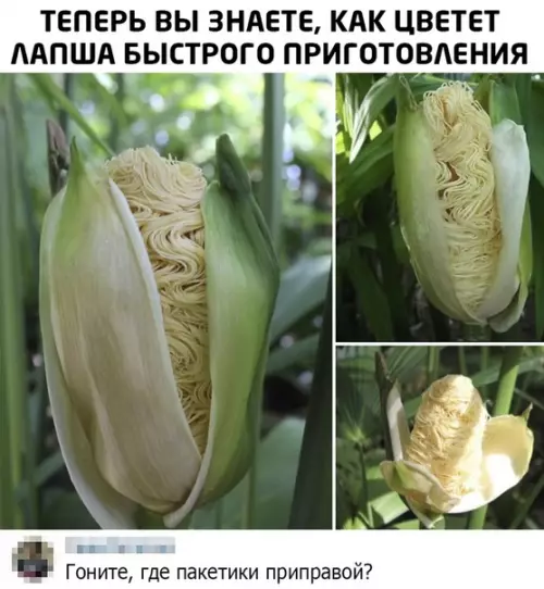 Смешная картинка №491938