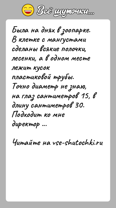 История: Была на днях в зоопарке. В клетке с мангустами сделаны всякие полочки, лесенки, а в одном месте лежит кусок пластиковой