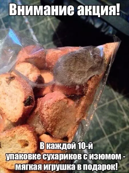Смешная картинка №278237
