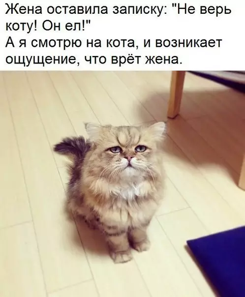 Смешная картинка №223185