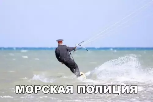 Смешная картинка №255483 Полиция