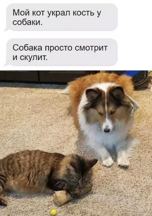 Смешная картинка №699516