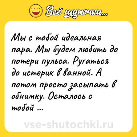 Шутка: Мы с тобой идеальная пара. Мы будем любить до потери пульса. Ругаться до истерик в ванной. А потом просто засыпать в обнимку. Осталось с тобой только познакомиться.
