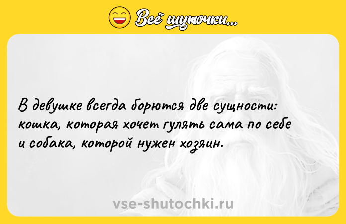 Цитата: В девушке всегда борются две сущности: кошка, которая хочет гулять сама по себе и собака, которой нужен хозяин.