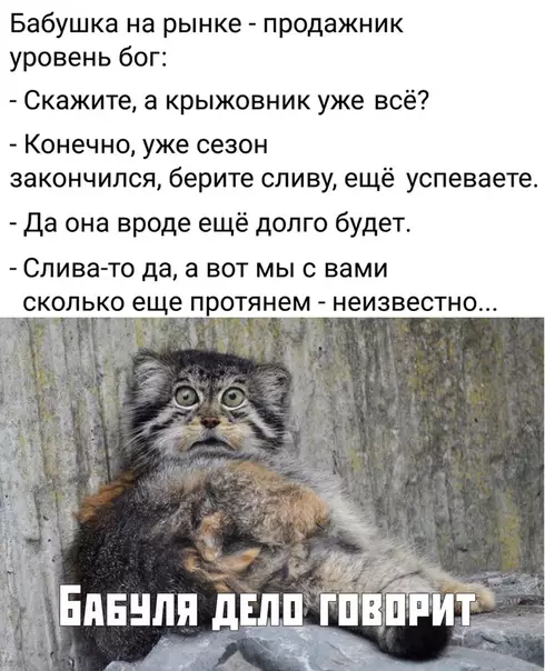 Смешная картинка №380908