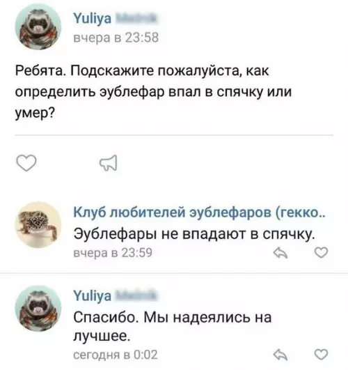 Смешная картинка №221843 Надежда умирает последней