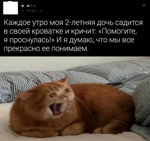 Смешная картинка №774310