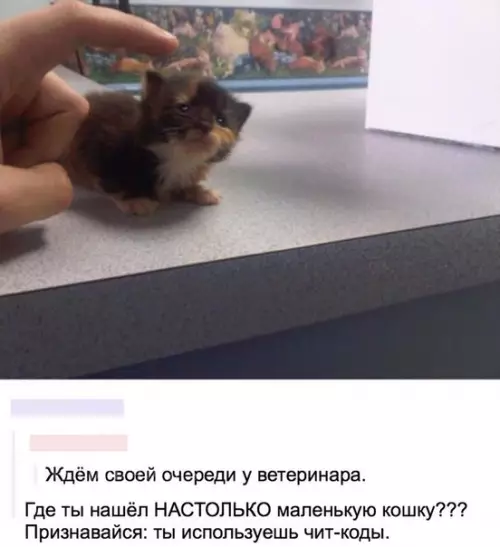 Смешная картинка №242911
