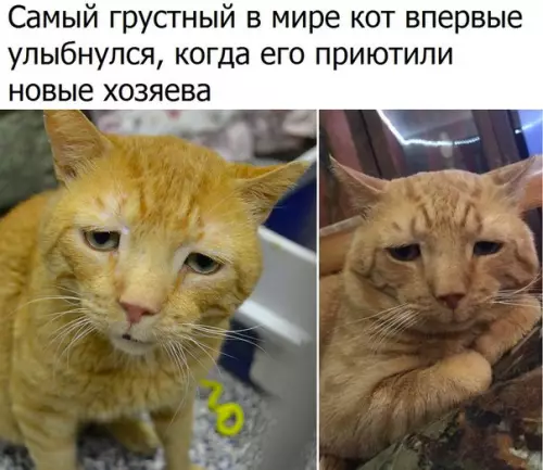 Смешная картинка №216520
