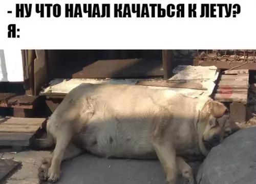 Смешная картинка №262259